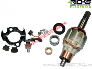 Kit reparatie electromotor - Honda CRF 450X ('05-'12) / KTM EXC 250 / EXC 300 / XC-W 250 / XC-W 300 ('06-'12) - (Rick's)
