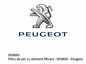 Luchtfilter met filter - 009860 - Peugeot