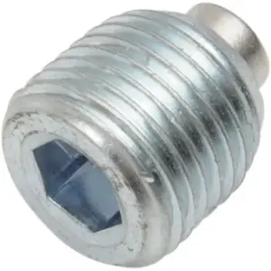 Magnetische aftapschroef - Zink - 11070326