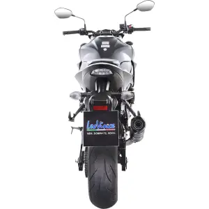 Middendemper Slip-On Carbon LV One Evo - SUZUKI GSX-S 750 ABS ('17-'20) / GSX-S 750 Z ABS ('19-'20) - Leo Vince