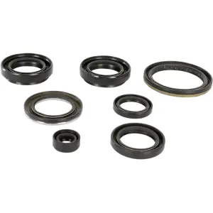 Motorcycle Engine Seals Set - ARCTIC CAT 400 2X4 FIS Auto / SUZUKI LT-A 400 2X4 Eiger / LT-A 400 2X4 Kingquad - Moose