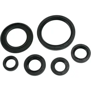 Motorcycle Engine Seals Set - YAMAHA YFM 700 R Raptor ('12-'20) / YFM 700 R ('13) - Moose