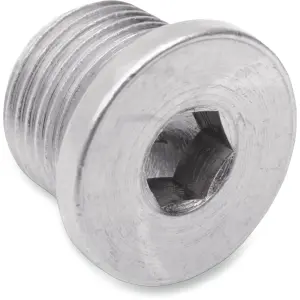 O₂ Sensor Port Plug - Silver - 18610562