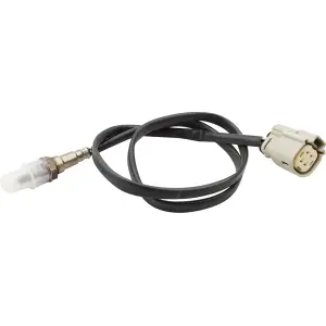 O2 Sensor - 10220317