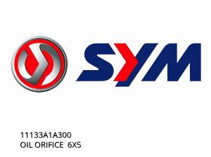 OIL ORIFICE  6X5 - 11133A1A300 - SYM