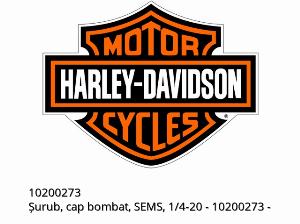 PARAFUSO, CABEÇA ARREDONDADA, SEMS, 1/4-20 - 10200273 - Harley-Davidson