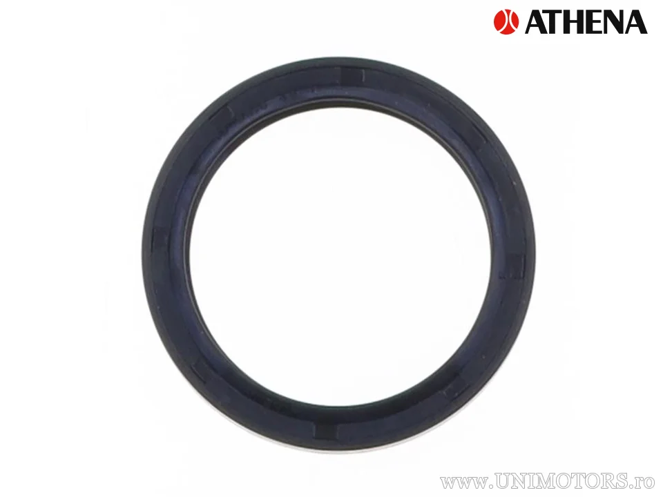Paraolio GTD 38,5x48x7 - Athena