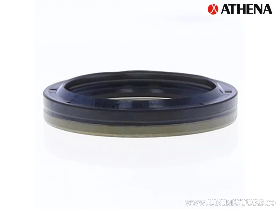 Paraolio GTD 38,5x48x7 - Athena