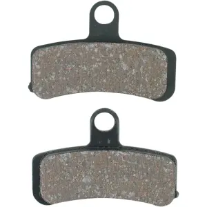 Pastiglie freno organiche Harley/Buell - 17200217
