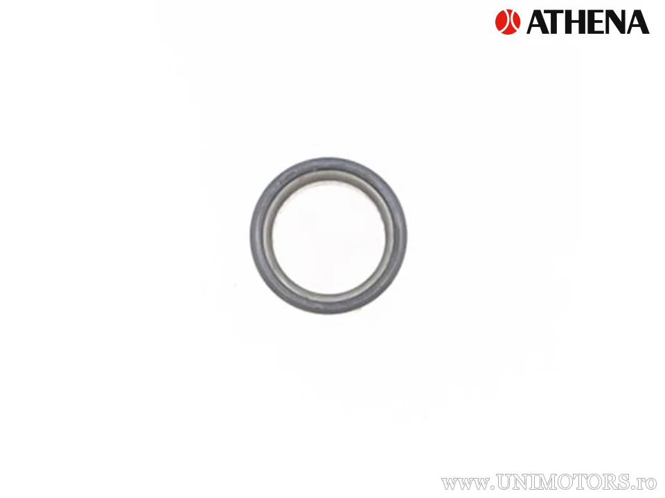 Pen pentru piston Athena 14x10x41 mm - Athena