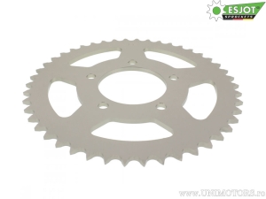 Pignone posteriore Esjot argento - 46 denti (passo 520) - JM