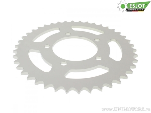 Pinion spate argintiu 42 dinti (pas 520) - Esjot