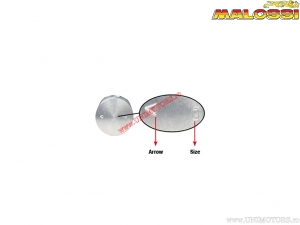 Piston (diametru 74mm / bolt 17mm / cota E) - Malossi