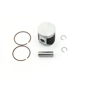 Piston Kit (Cast Replica) - 09106251