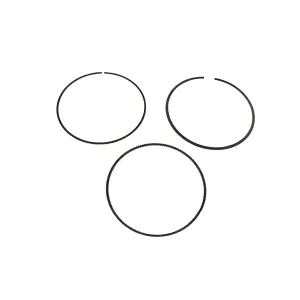 Piston Ring - 09120829