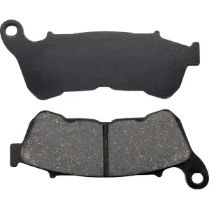 Plaquettes de frein organiques Harley/Buell - 17200281
