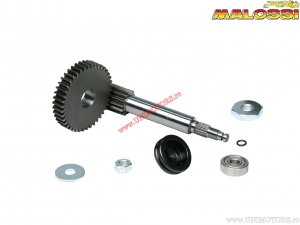 Primary gear kit Z 14/42 (third support) - MBK Nitro 50 H2O 2T ('97-'98) / Nitro II 50 H2O 2T E2 ('13-'16) - Malossi