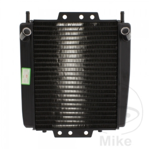 Radiator - Piaggio MP3 350 Business ABS ('18) / MP3 350 Sport ABS ('18) / MP3 500 ie Business ABS ASR ('17-'18) - JM