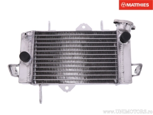 Radiator - Yamaha YZF-R 125 ('08-'11) - JM