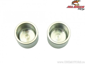 Rear Brake Caliper Piston Set - Can-Am Defender 1000 / Defender 700 / Defender Max 1000DPS / Defender Max 800XT - All Balls
