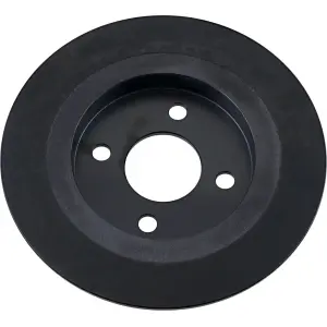 Rear Brake Rotor - Black - 17103066
