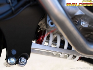 Rear Shock Absorber RS24/10-R (330mm wheelbase) - Yamaha T-Max ABS 530i H2O 4T E4 ('17-'19) - Malossi