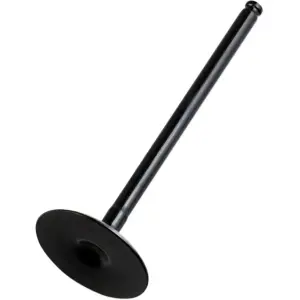 Replacement Valve - Black - 09262917