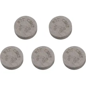 Replacement Valve Shims - 09261322