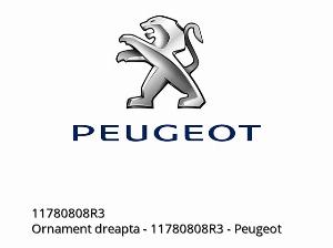 Rh Embellisher - 11780808R3 - Peugeot