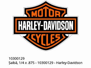 Rondelle, 1/4 x .875 - 10300129 - Harley-Davidson