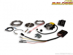 Rotor d'allumage interne MHR Team II (5518275) - DRR DRX 90 2T LC (2016 ->) - Malossi