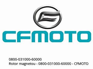 Rotor magnetou - 0800-031000-60000 - CFMOTO