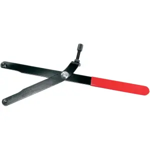 Rotore e supporto per pignone - Nero, Rosso - 38080003
