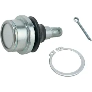 Rotule - 04300261