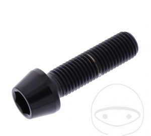 Round conical cap screw Pro Bolt M10 x 1.25 x 35 mm stainless steel A4 black - JM