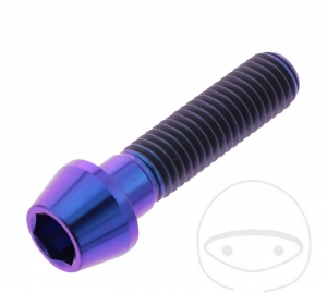 Round conical cap screw Pro Bolt M10 x 1.50 x 40 mm stainless steel A4 violet - JM