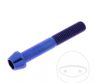 Round conical cap screw Pro Bolt M10 x 1.50 x 65 mm stainless steel A4 blue - JM