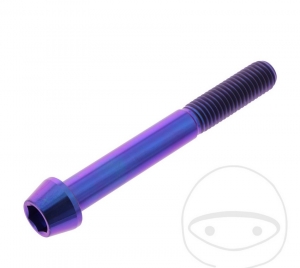 Round conical cap screw Pro Bolt M10 x 1.50 x 80 mm stainless steel A4 violet - JM