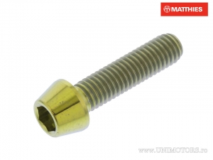 Round Conical Cap Screw Pro Bolt M5 x 0.80 x 20 mm Titanium Gold - JM
