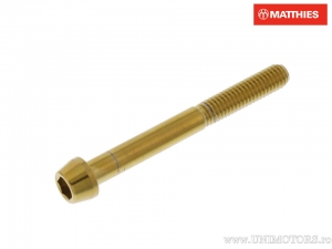 Round conical cap screw Pro Bolt M6 x 1.00 x 55 mm stainless steel A4 gold - JM