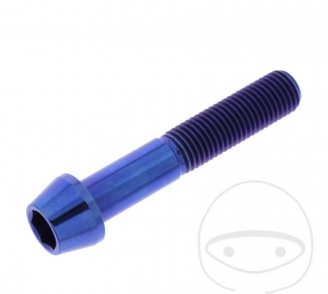 Round conical Pro Bolt screw cap M10 x 1.25 x 55 mm stainless steel A4 blue - JM
