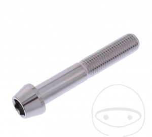 Rundkonus-Kappe Schraube Pro Bolt M10 x 1.25 x 60 mm Edelstahl A4 - JM