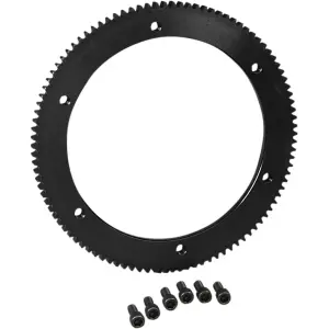 Ruota dentata starter OEM di ricambio - Naturale - DS242074