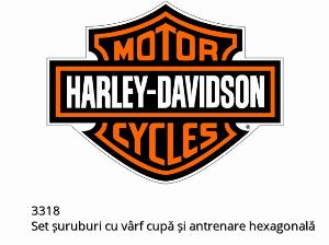 Schraubensatz Kegelspitze Innensechskant - 3318 - Harley-Davidson