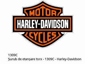 SCHROEF afdichting torx - 1309C - Harley-Davidson