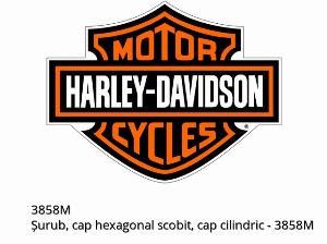 SCHROEF, INBUS, CILINDERKOP - 3858M - Harley-Davidson