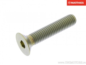 Screw cap countersunk Allen bolt Pro Bolt M8 x 1.25 x 40 mm titanium gold - JM