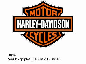 SCREW, FLAT HEAD, 5/16-18 X 1 - 3894 - Harley-Davidson