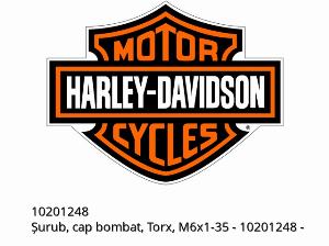 SCREW,BTN, TORX, M6X1-35 - 10201248 - Harley-Davidson