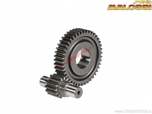 Secondary gear HTQ Z 14/43 (forced diameter 17mm) - Gilera Runner FXR 180 H2O 2T E1 ('98-'02) - Malossi